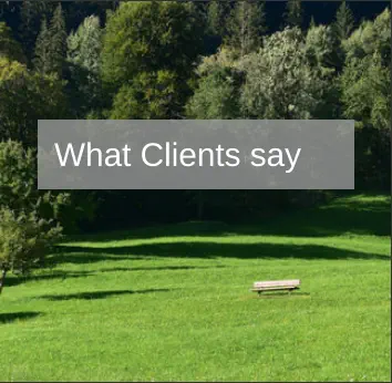 What clients say